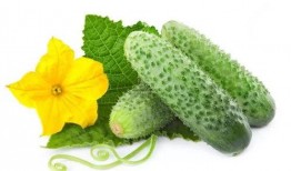 若楠吃瓜系統(tǒng),網(wǎng)絡輿論場的新寵兒