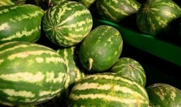 安平吃瓜事件,一場網絡狂歡背后的真相與反思