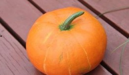 秋天吃勝瓜好嗎,勝瓜美食，健康美味兩不誤