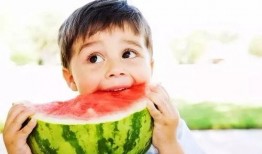 執行官吃瓜,一場意外的吃瓜盛宴