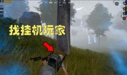 吃瓜電梯戰(zhàn)神,揭秘網(wǎng)絡(luò)紅人的崛起之路