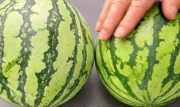 理性吃瓜不賣瓜,揭秘娛樂圈真相