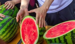 上海高校吃瓜群