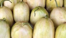 哺乳期可以吃捎瓜嗎,哺乳期媽媽適宜食用捎瓜的溫馨指南