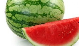 懷孕吃小瓜能吃,小瓜的營養益處與食用建議