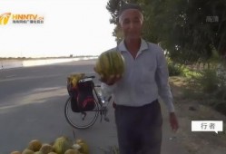 深圳吃瓜大叔,揭秘城市生活百態(tài)的趣味觀察者