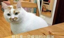 吃瓜群眾的感慨,娛樂圈風云再起，揭秘明星幕后故事