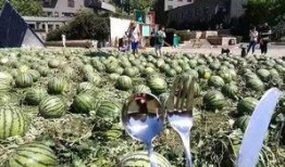 團(tuán)隊(duì)吃瓜,揭秘職場(chǎng)中的歡樂(lè)時(shí)光與團(tuán)隊(duì)凝聚力