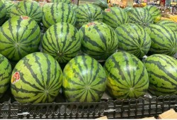 東莞到深圳吃瓜,探尋兩地瓜果飄香的風味之旅