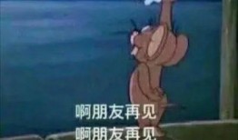 小虎吃瓜親戚,揭秘親戚間的那些事