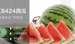 工程吃瓜,揭秘建筑行業背后的趣味故事