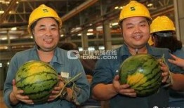 工程吃瓜,揭秘建筑行業背后的趣味故事