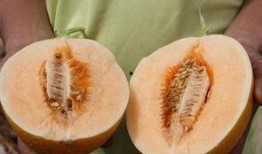 吃瓜中心吃最真實(shí)的瓜,吃瓜中心直擊最真實(shí)瓜料