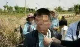 江蘇鹽城吃瓜事件始末,一場網絡輿論的風波與反思