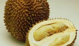 酥瓜孕婦可以吃嗎,安全與營養兩不誤